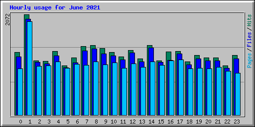 Hourly usage for June 2021