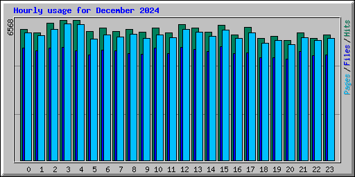 Hourly usage for December 2024