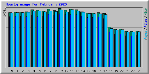 Hourly usage for February 2025