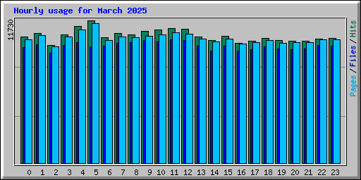 Hourly usage for March 2025