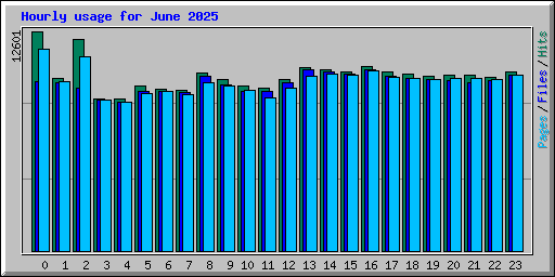 Hourly usage for June 2025