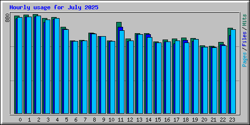 Hourly usage for July 2025