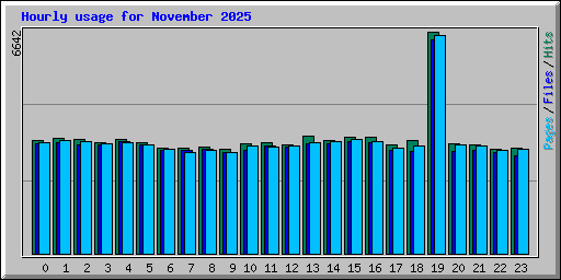 Hourly usage for November 2025
