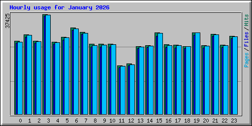 Hourly usage for January 2026