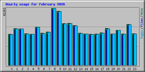 Hourly usage for February 2026